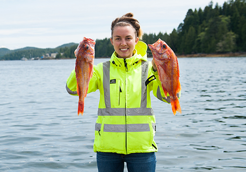 ACANA™ Petfoods Zulieferer unseres Vertrauens: Wildfang-Seefisch, Keltic Seafoods